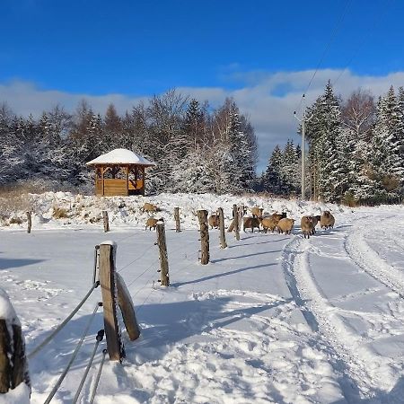 CHALET BORŮVKA - biofarma na samotě v lesích Benesov  Exterior foto