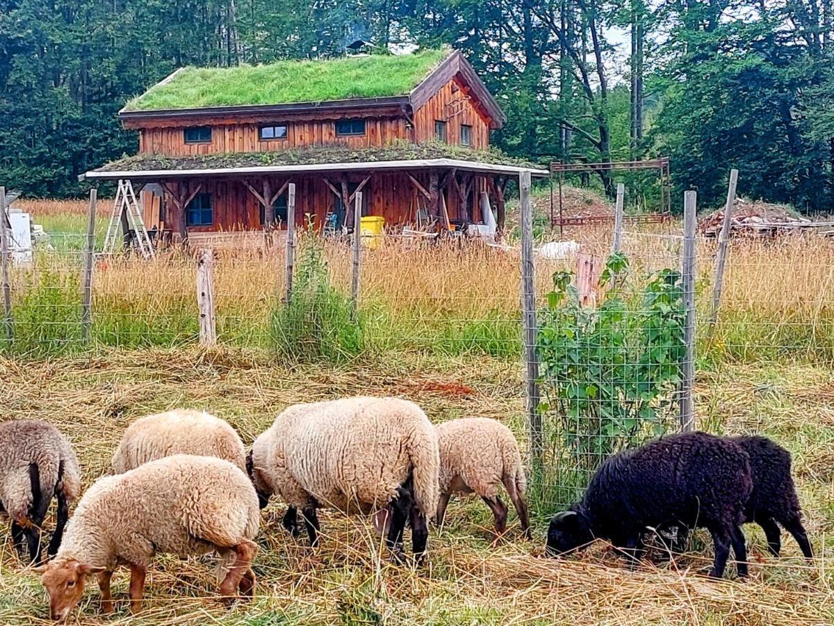 CHALET BORŮVKA - biofarma na samotě v lesích Benesov  Exterior foto