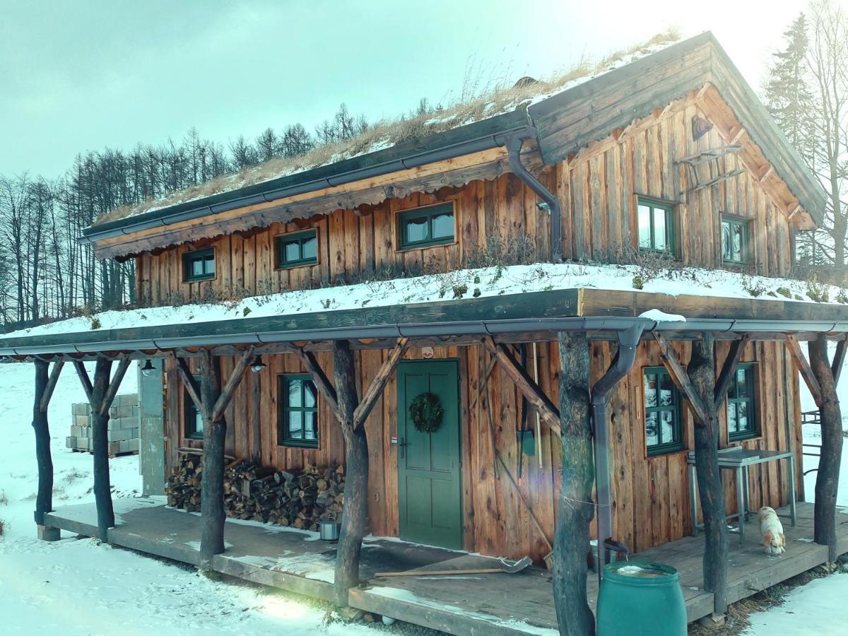 CHALET BORŮVKA - biofarma na samotě v lesích Benesov  Exterior foto