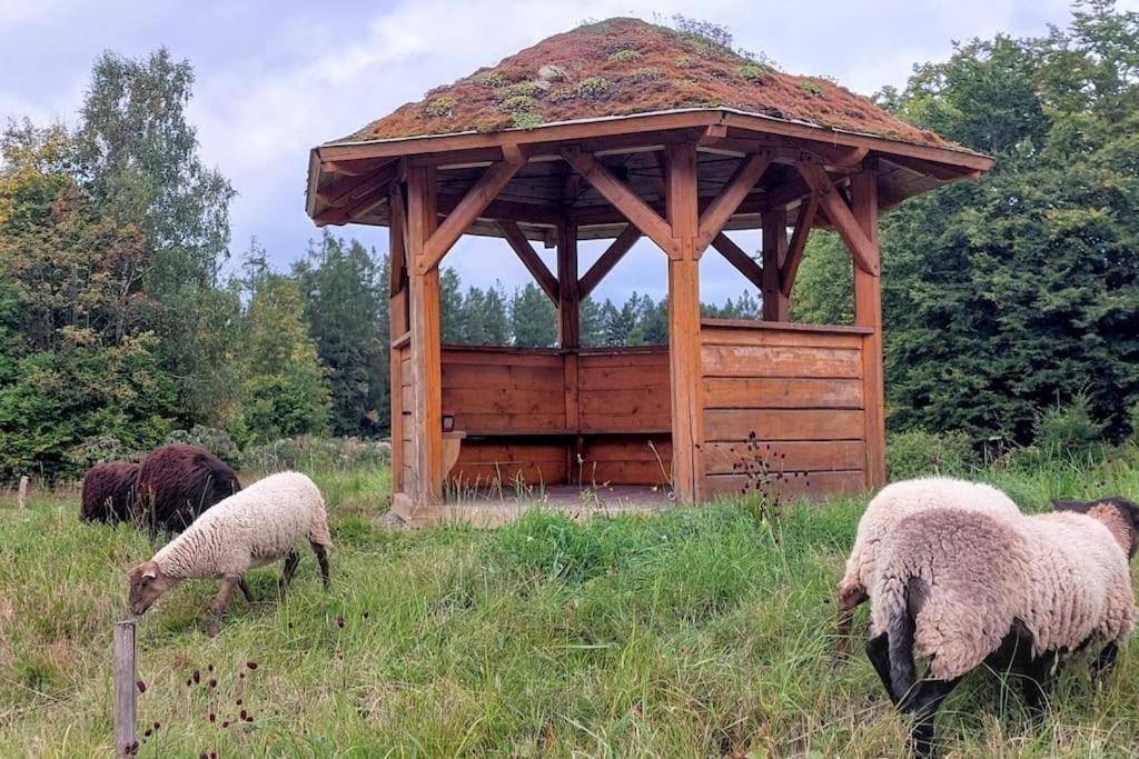 CHALET BORŮVKA - biofarma na samotě v lesích Benesov  Exterior foto