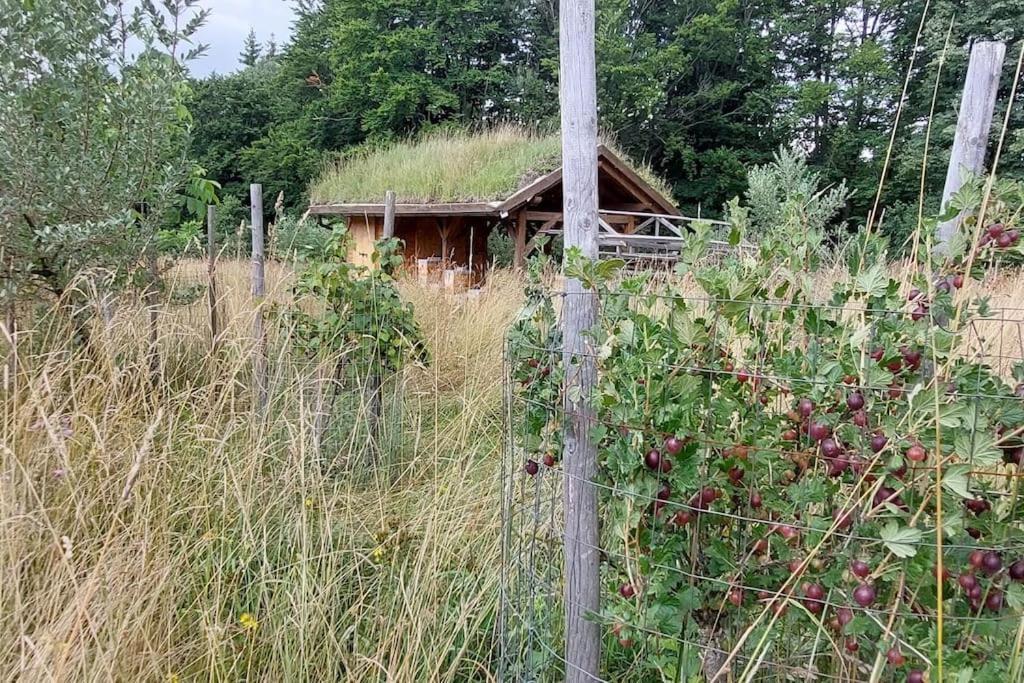 CHALET BORŮVKA - biofarma na samotě v lesích Benesov  Exterior foto