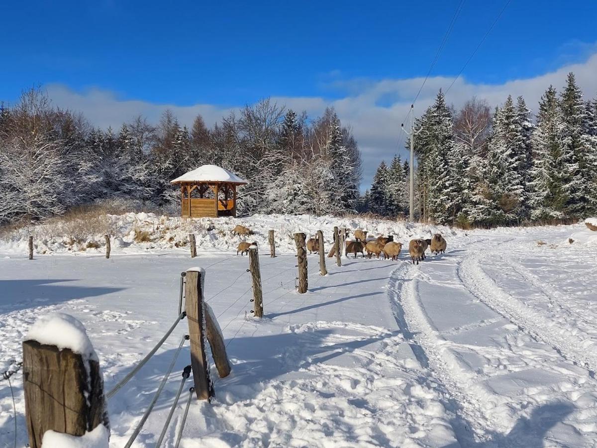 CHALET BORŮVKA - biofarma na samotě v lesích Benesov  Exterior foto